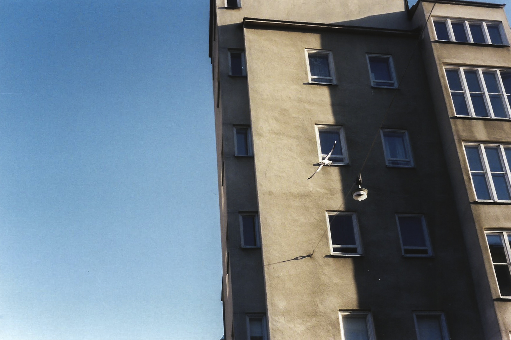 Gabbiani Finland '170003