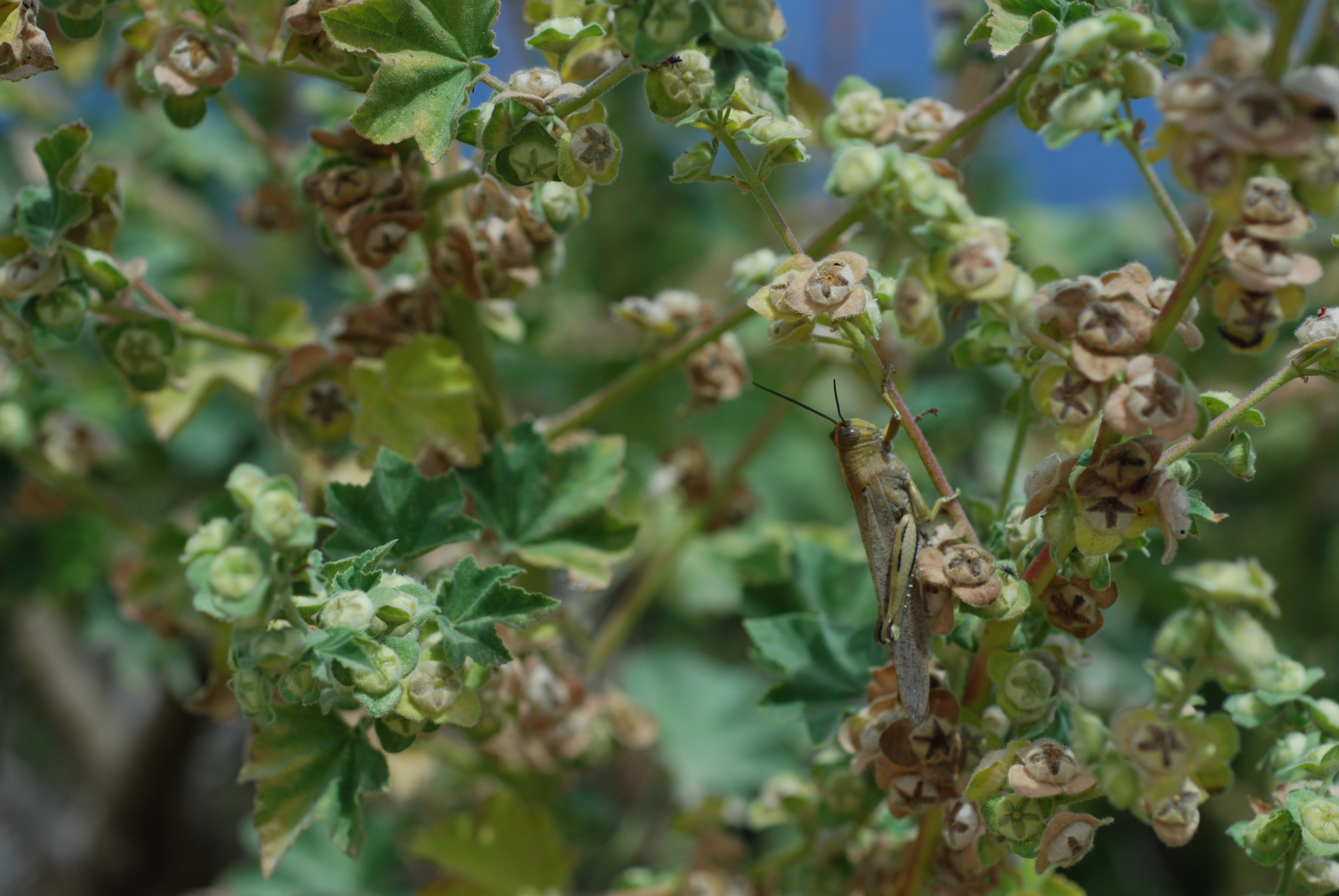 8705680841_fe0e9c5048_o